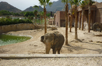 Terranatura Benidorm